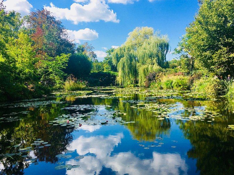 The water lily pond in Monet's garden at Giverny