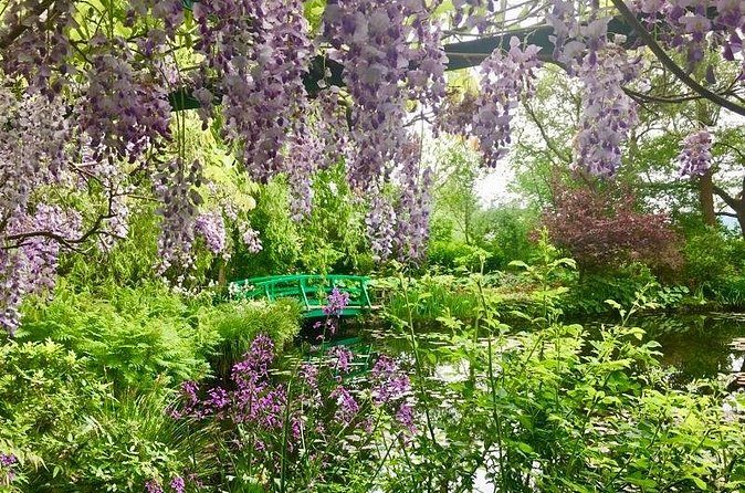 Wisteria hanging over the water garden at Giverny